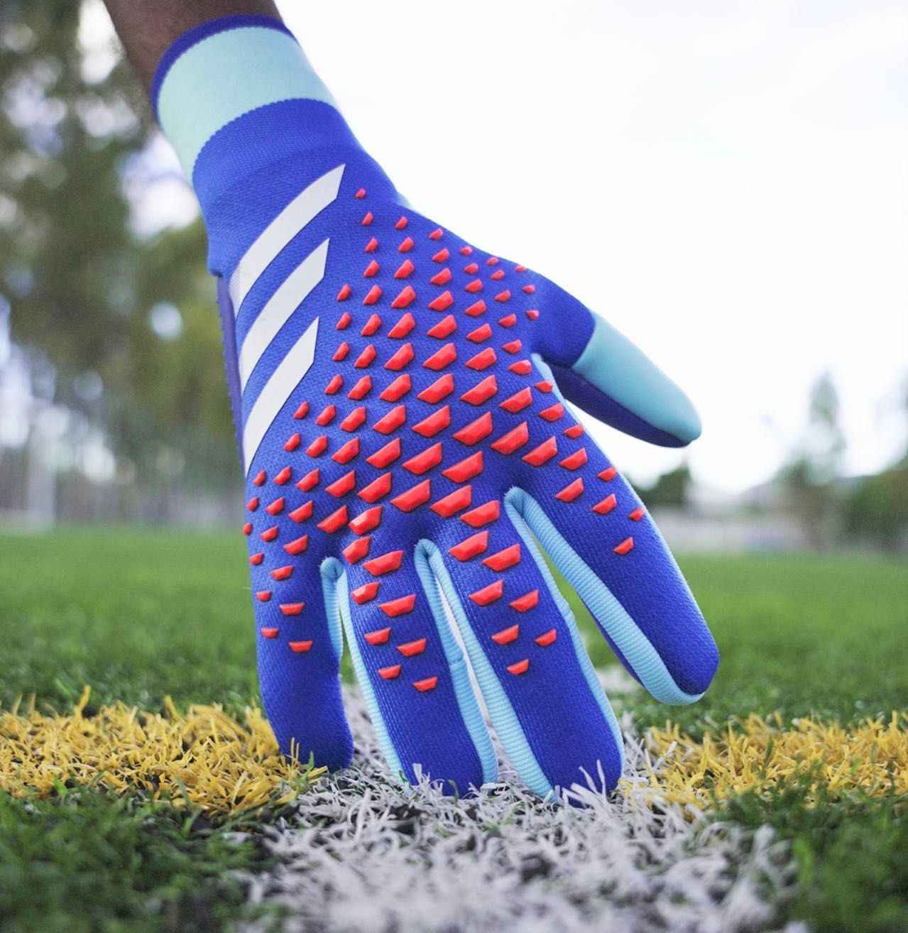 Predator Accuracy 4 18 11