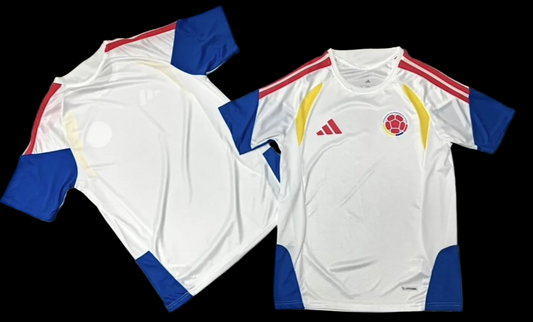 Selección Colombia Entrenamiento