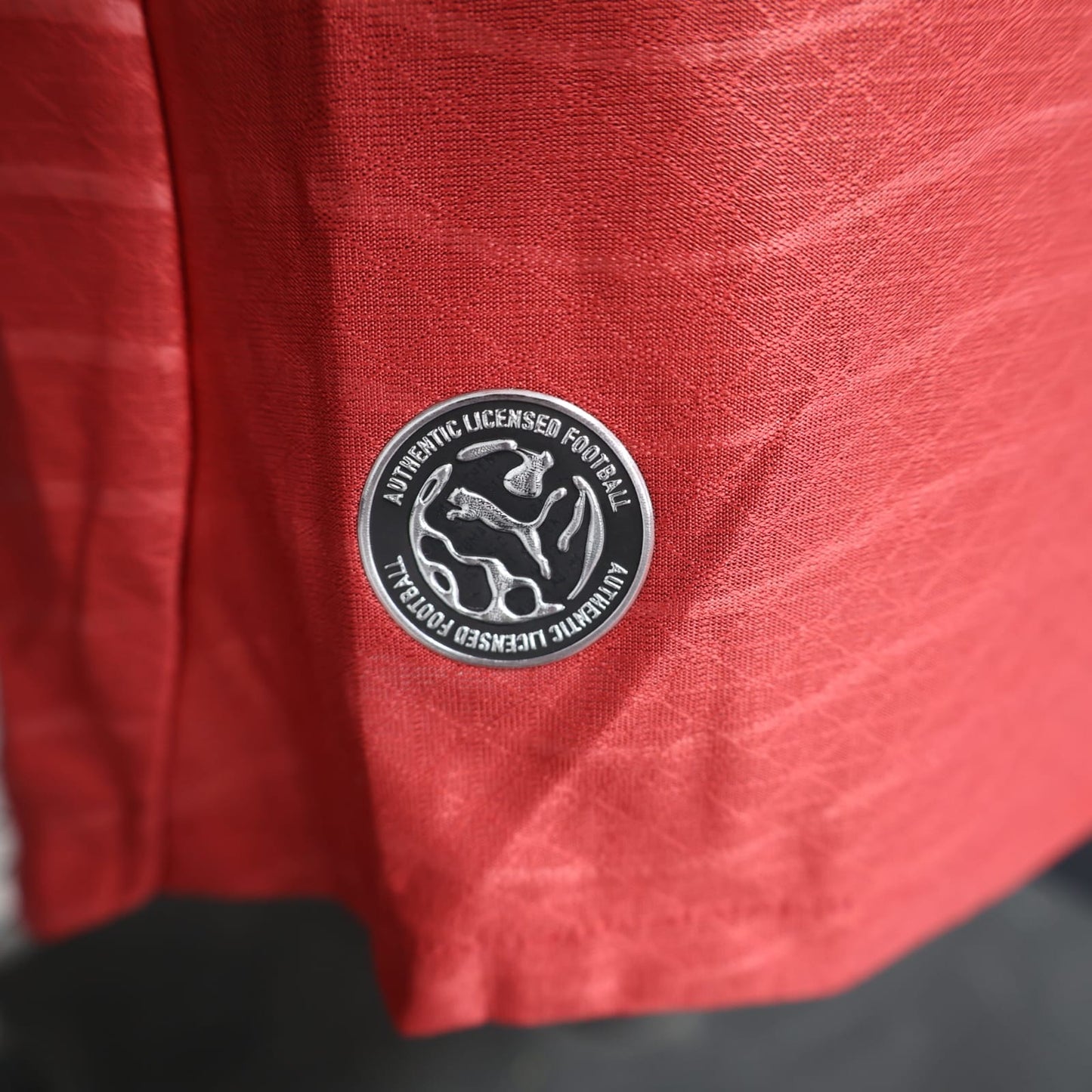 Seleccion Portugal Local 2025/26