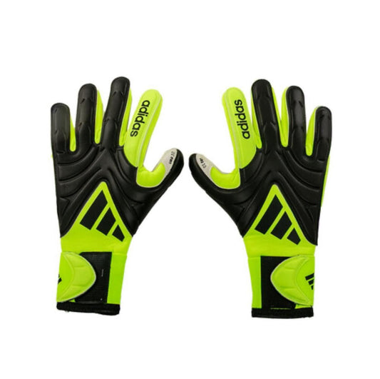 Copa Puré Gama Alta Negro Verde