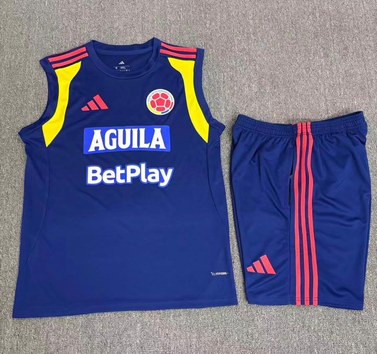 Musculosa Entrenamiento Selección 2026 Azul