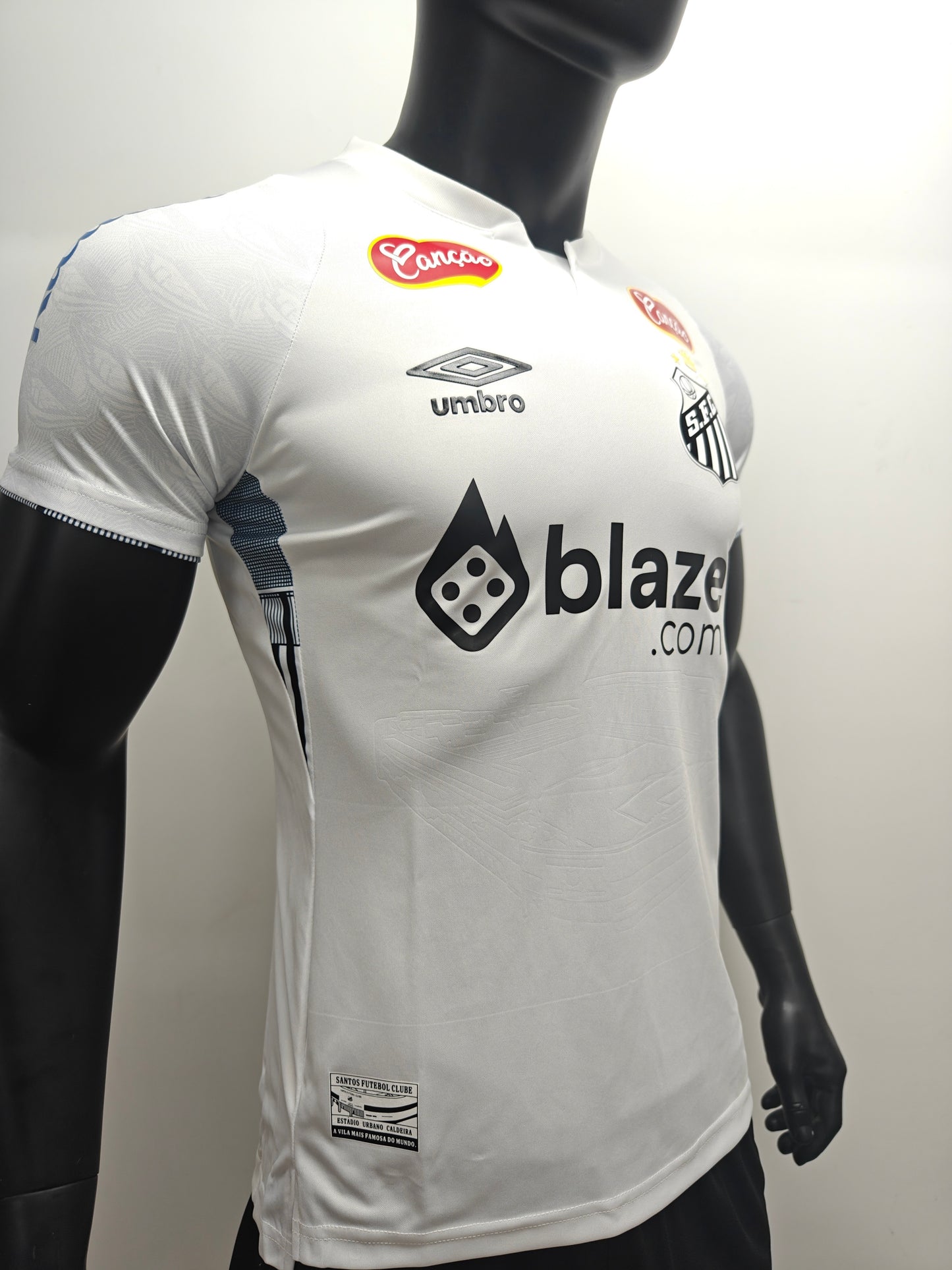 Santos de Brasil 2024/25