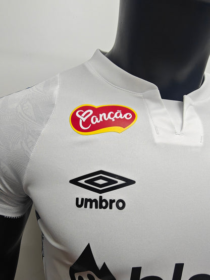 Santos de Brasil 2024/25